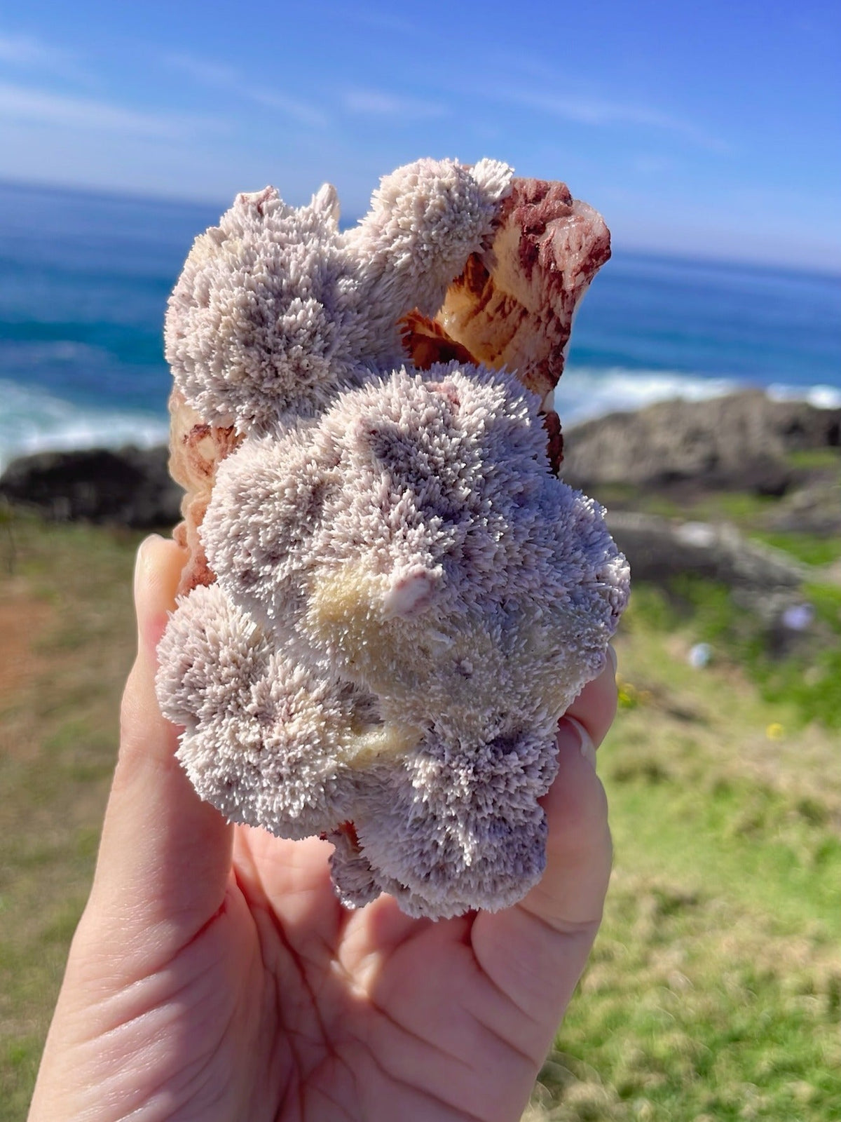 Pink Mordenite