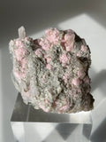 Rhodochrosite cluster with pink and gray hues, featuring clear crystal points, displayed on a clear stand.