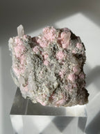 Rhodochrosite cluster with pink and gray hues, featuring clear crystal points, displayed on a clear stand.