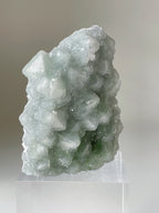 Beautiful green Fujian Sugar Fluorite crystal specimen with a textured surface, displayed on a clear stand.