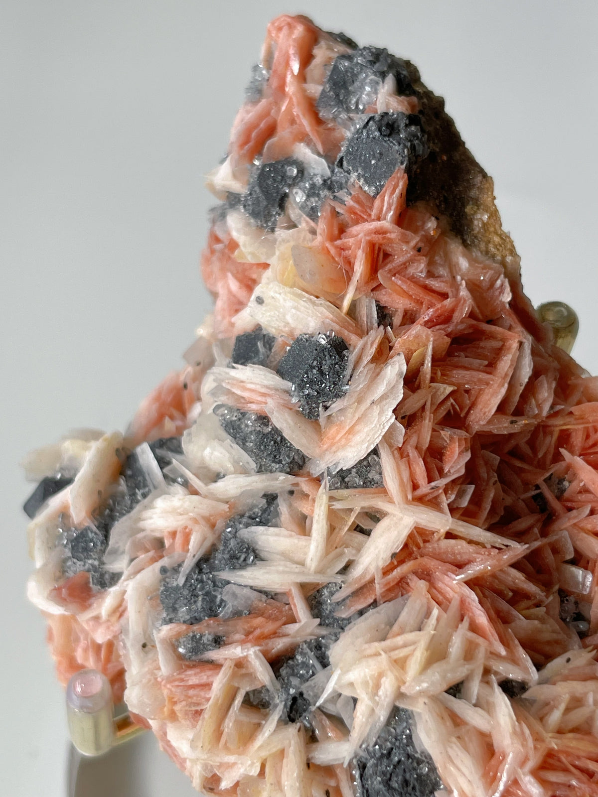 Pink barite and cerussite crystals on galena, showcasing intricate formations and vibrant colors.
