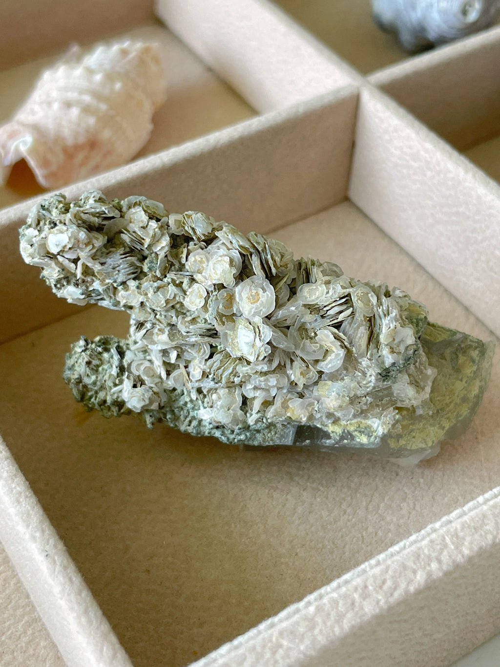 Beautiful rosette petal calcite specimen on quartz, showcasing intricate crystal formations in a display box.