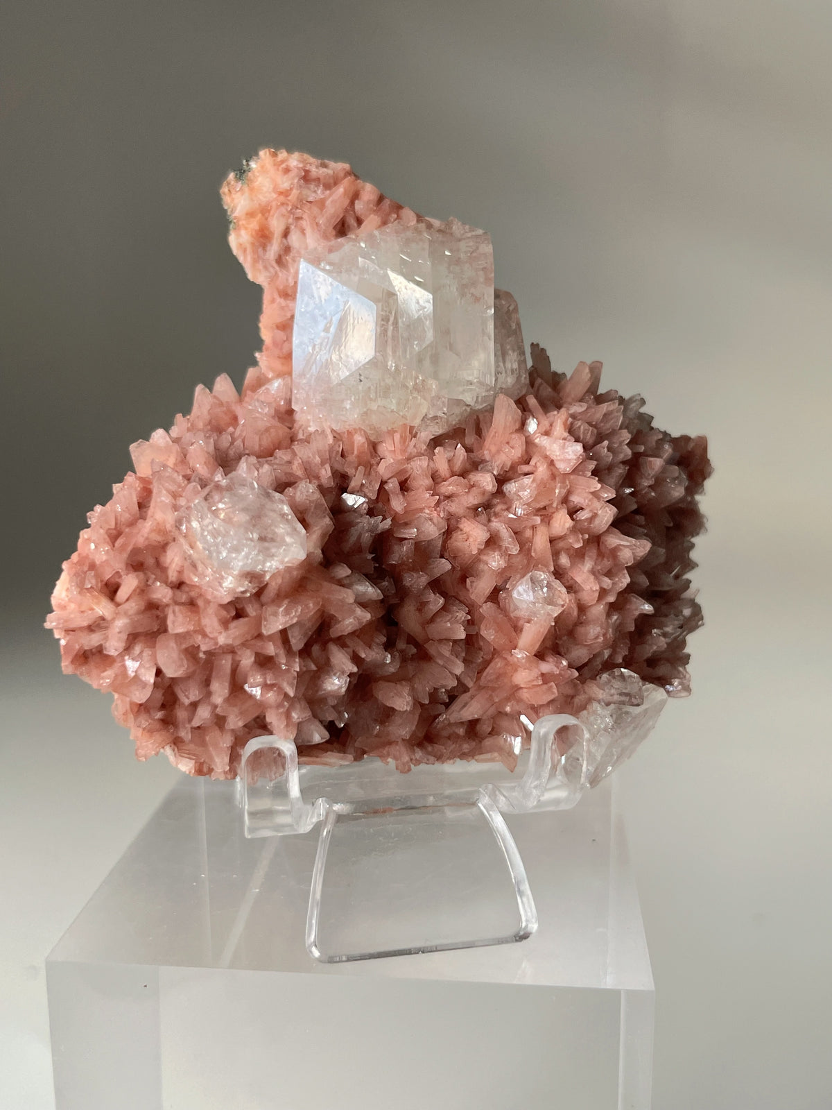 Beautiful pink Heulandite and Apophyllite crystal specimen displayed on a clear stand, showcasing intricate details.