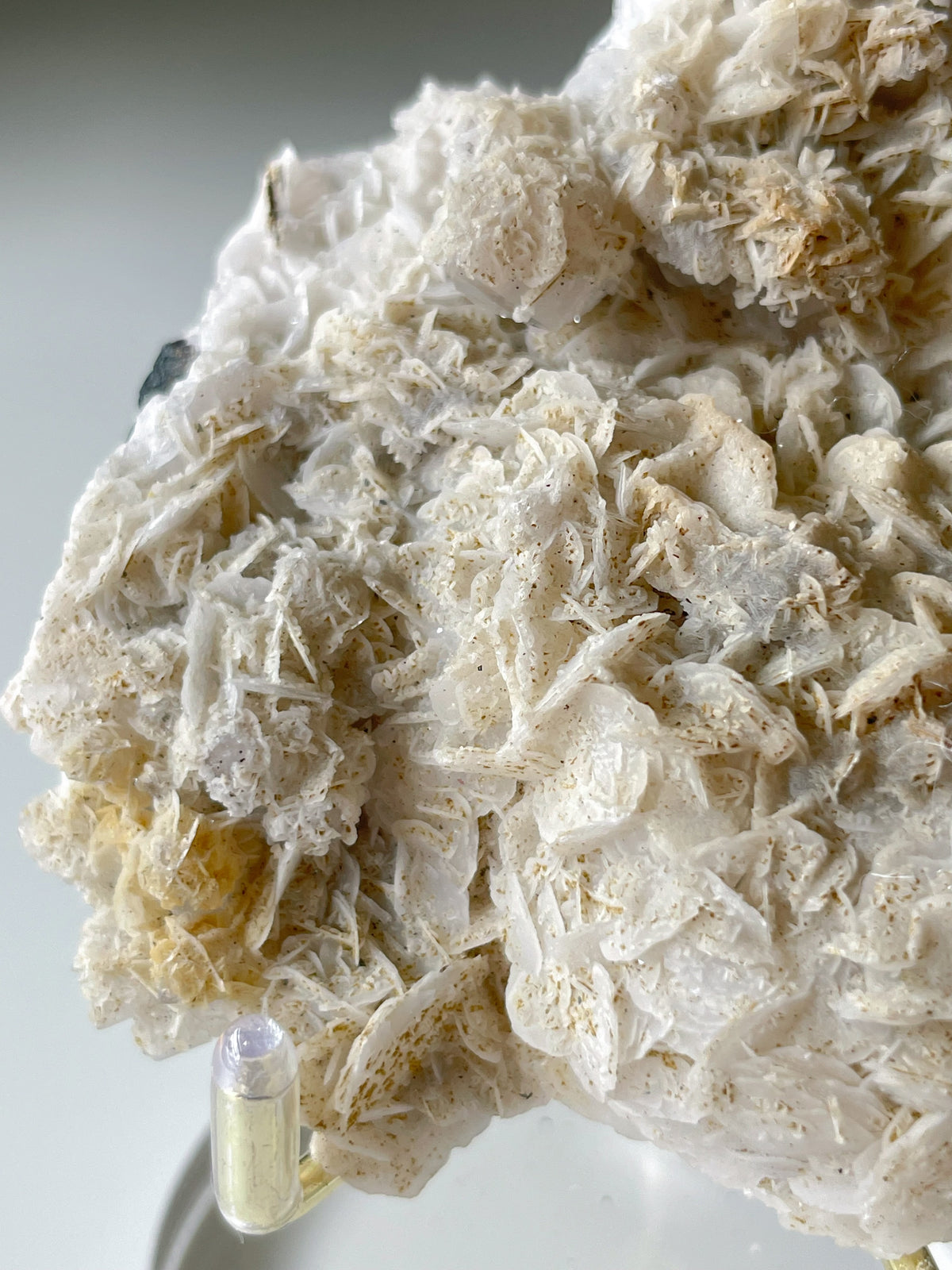 Bladed petal calcite specimen featuring intricate white formations, displayed elegantly on a stand.