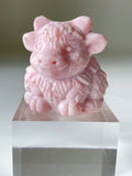 Pink Opal Highland Cow