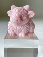 Pink Opal Highland Cow