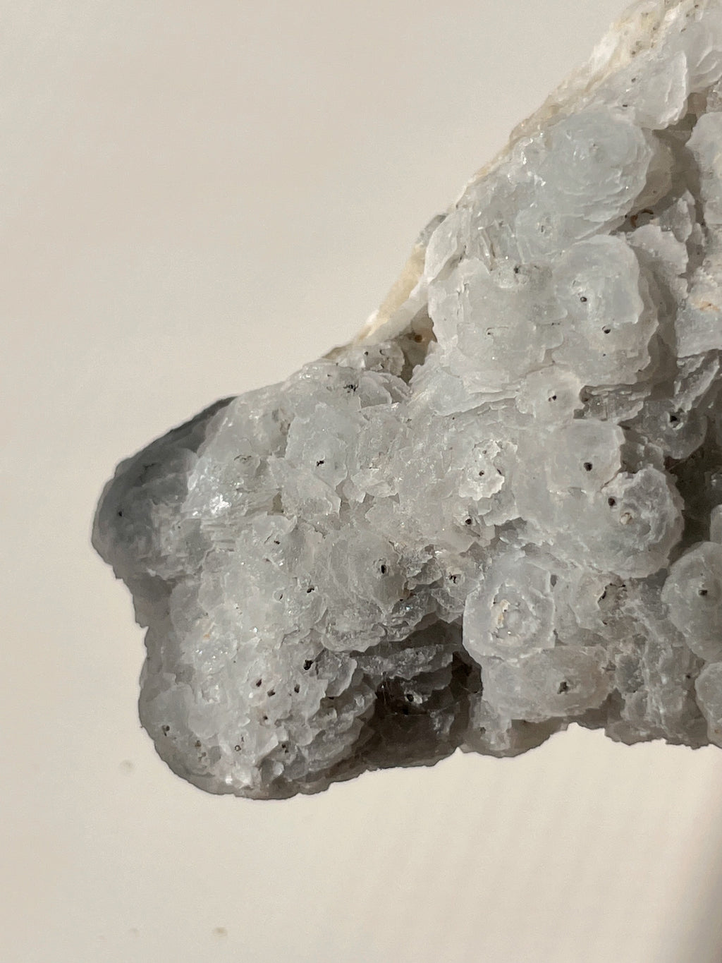 Beautiful crystal specimen featuring light gray calcite with pyrite accents on quartz, showcasing natural textures.