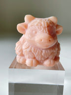 Peach She Tai Cui Highland Cow