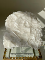 Beautiful petal bladed calcite specimen with intricate white formations, displayed on a reflective surface.