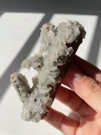 Beautiful flower calcite specimen with intricate crystal formations, held in a hand, showcasing natural textures.