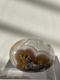 Scenic moss agate palm stone featuring earthy tones and unique patterns, displayed on a clear stand.