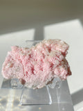 Beautiful rhodochrosite cluster with pink hues, displayed on a clear stand, showcasing its natural crystal formations.