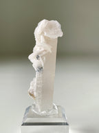 Flower Calcite on Quartz - Inner Mongolia, China
