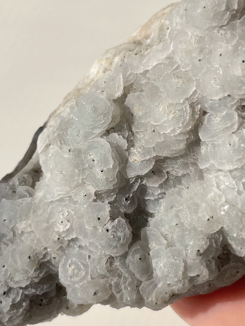 Beautiful crystal specimen featuring delicate, layered calcite formations with a hint of pyrite on quartz.