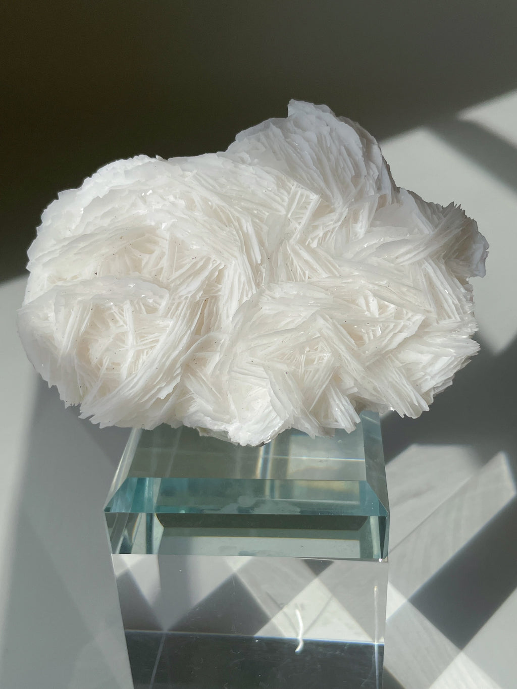 Beautiful crystal specimen featuring intricate white petal-like formations, displayed on a clear pedestal.