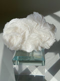 Beautiful crystal specimen featuring intricate white petal-like formations, displayed on a clear pedestal.