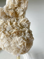 Bladed petal calcite specimen with intricate textures, showcasing natural formations and a light color palette.