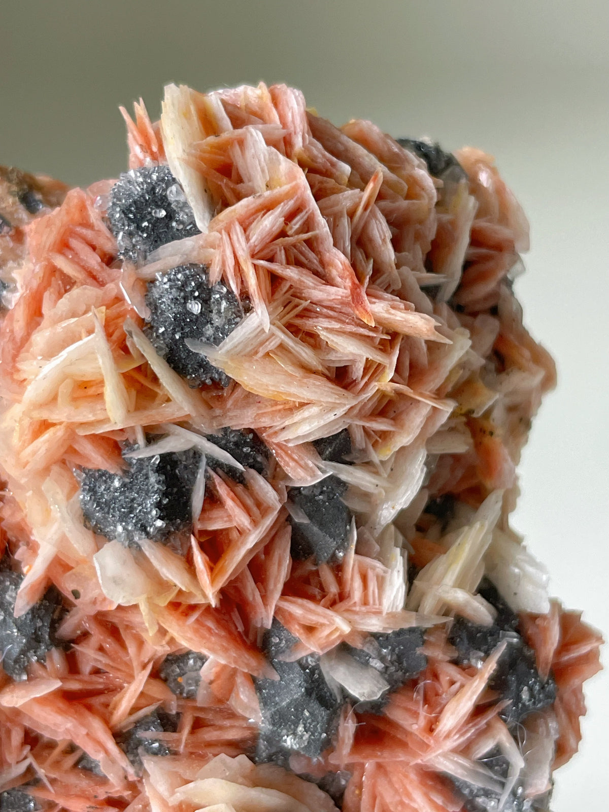 Bi-colour Pink Barite with Galena & Cerussite - Midelt Province, Morocco