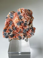 Bi-colour Pink Barite with Galena & Cerussite - Midelt Province, Morocco