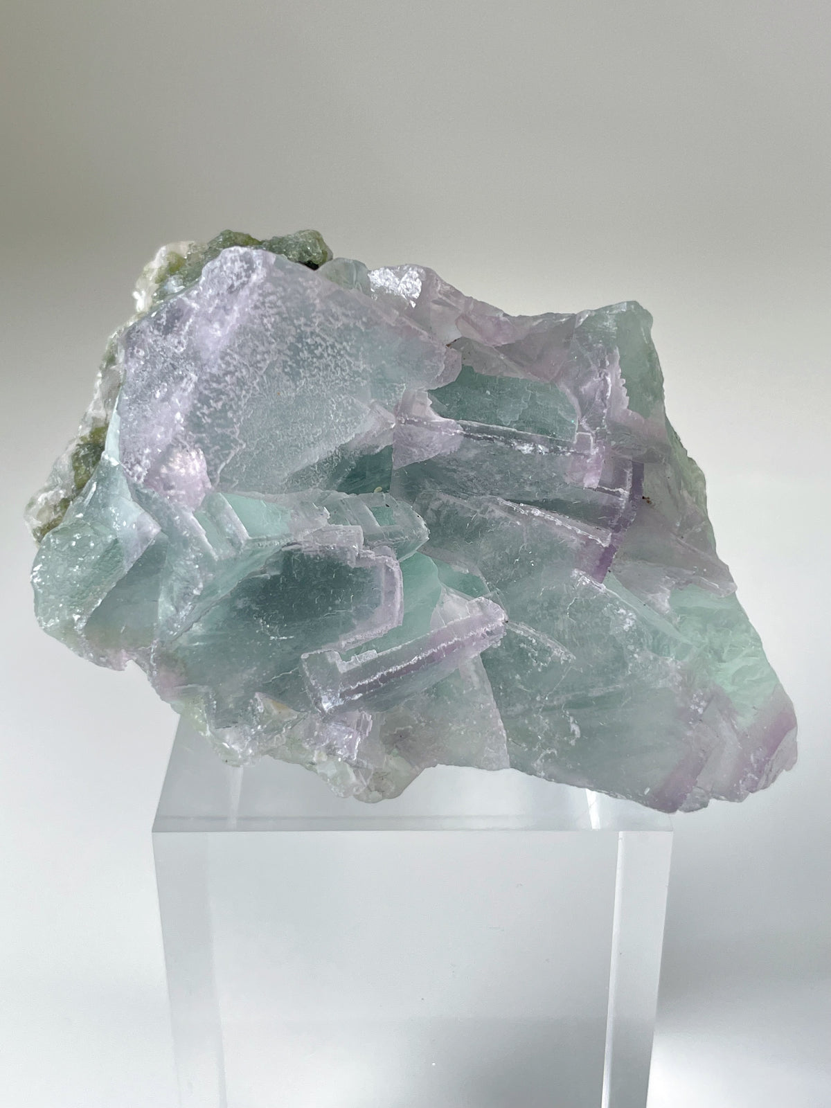 Beautiful fluorite crystal specimen with shades of green and purple, displayed on a clear acrylic stand.