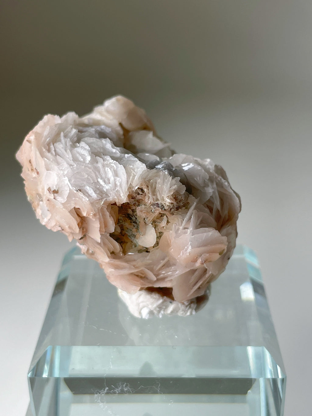 Beautiful pink petal calcite crystal specimen resting on a clear display stand, showcasing its delicate texture.