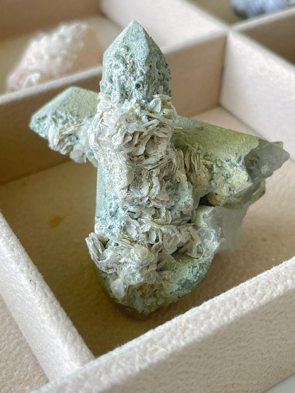 Unique petal calcite specimen with intricate textures, showcasing soft green and cream hues, nestled in a display box.