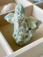 Unique petal calcite specimen with intricate textures, showcasing soft green and cream hues, nestled in a display box.