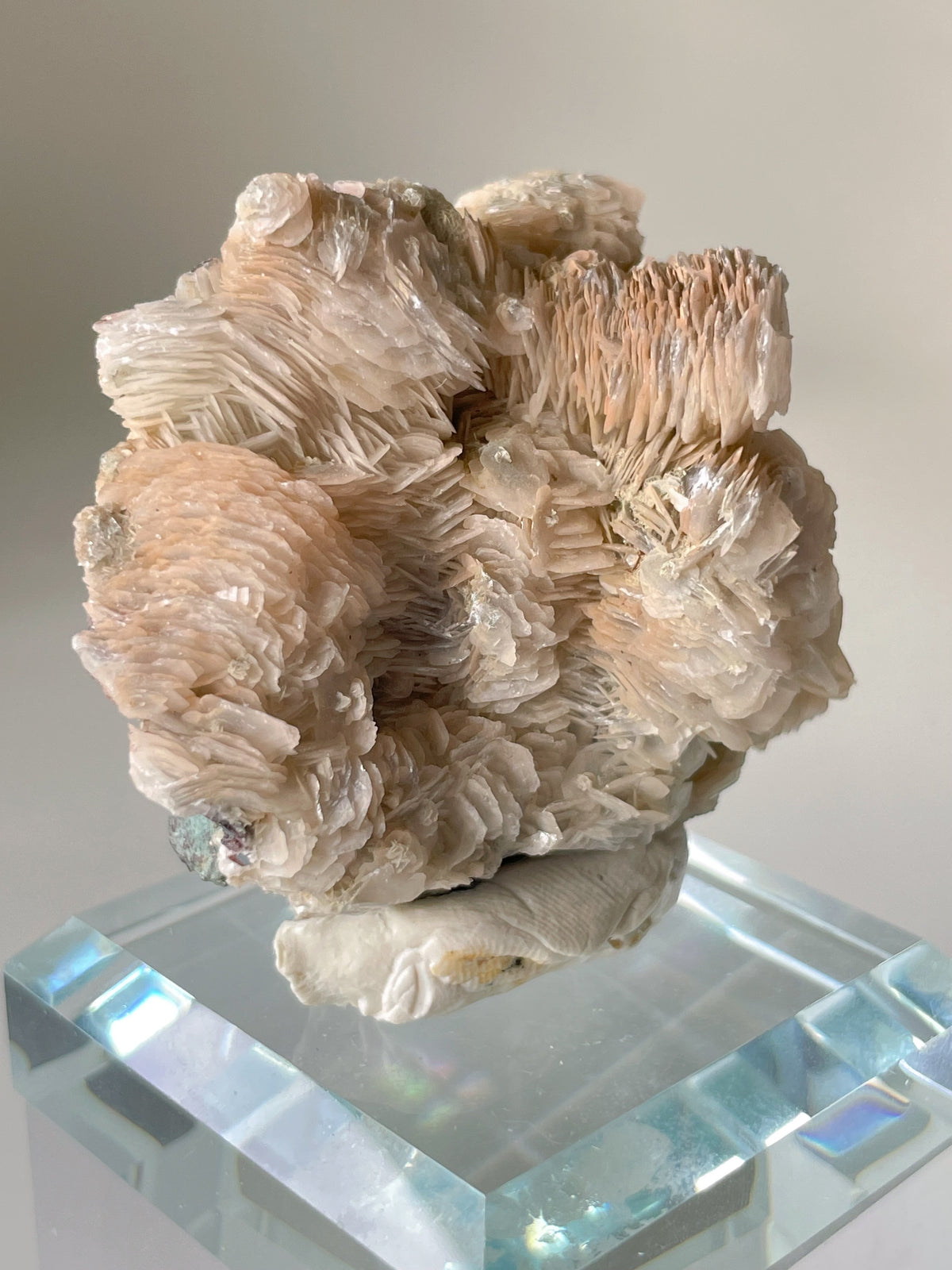 Beautiful bladed petal calcite specimen with delicate layers, displayed on a clear base, showcasing its natural beauty.