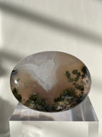 Scenic moss agate palm stone with earthy greens and soft browns, displayed on a clear pedestal.