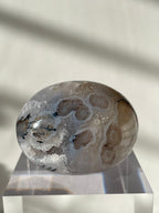 Scenic moss agate palm stone with unique patterns, displayed on a clear stand, showcasing its natural beauty.