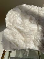 Beautiful petal bladed calcite specimen with intricate white crystal formations, displayed elegantly.