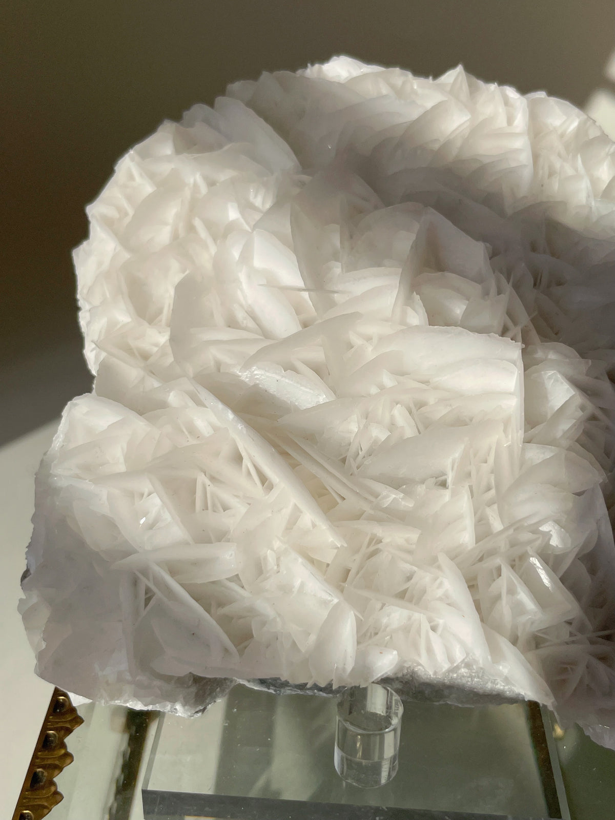 Beautiful petal bladed calcite specimen with intricate white crystal formations, displayed elegantly.