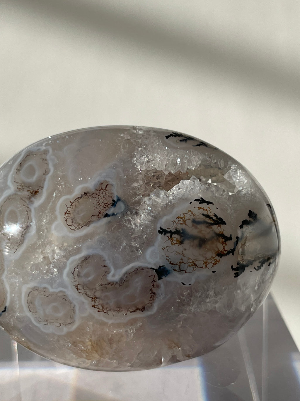 Scenic moss agate palm stone featuring intricate patterns and a smooth, polished surface, resting on a clear display.