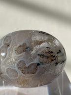Scenic moss agate palm stone featuring intricate patterns and a smooth, polished surface, resting on a clear display.