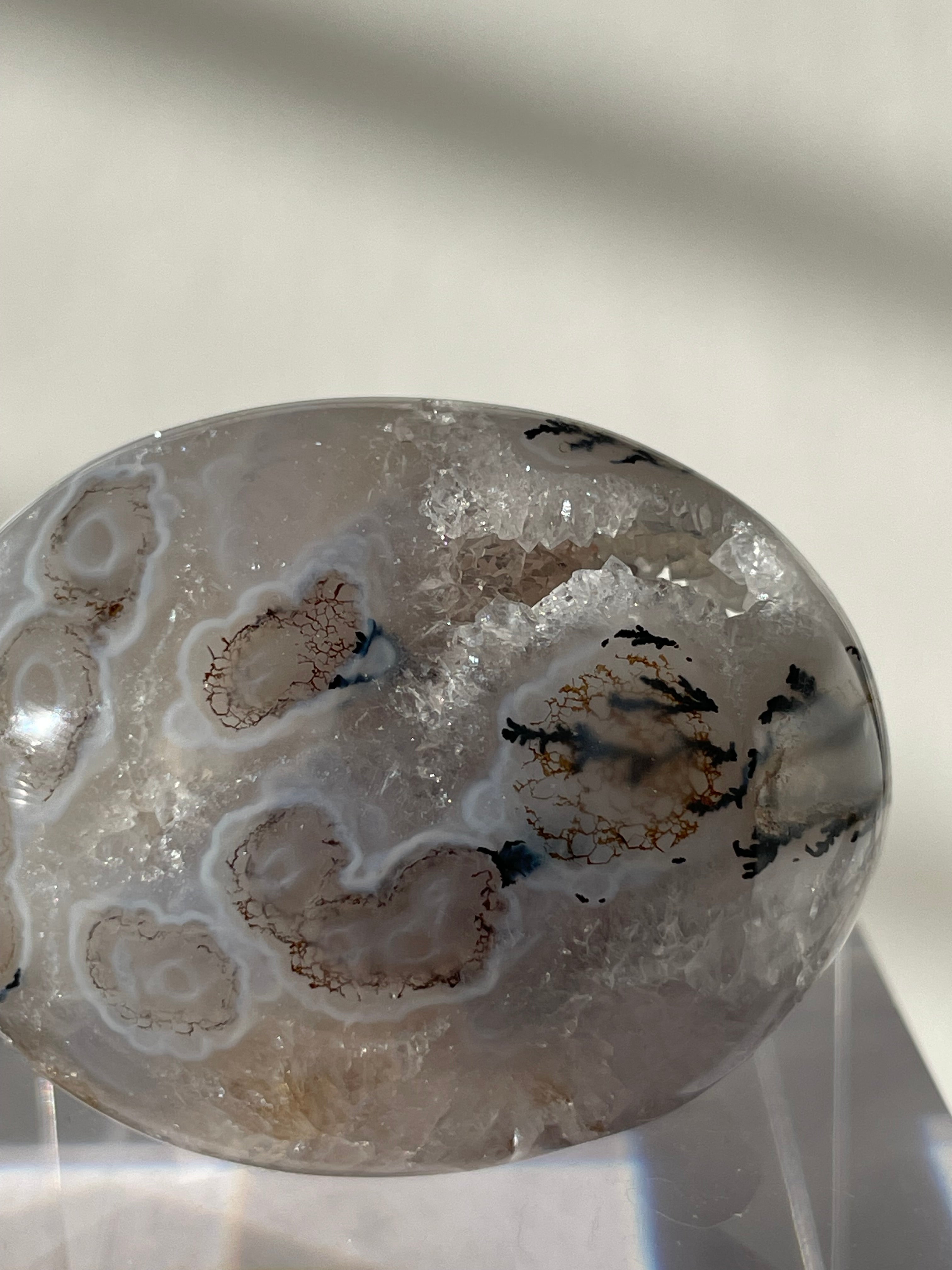 Scenic moss agate palm stone featuring intricate patterns and a smooth, polished surface, resting on a clear display.