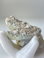 Rosette petal calcite specimen with delicate textures, held gently in a white hand sculpture against a soft background.