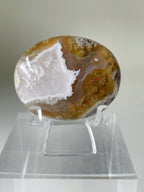 Scenic moss agate palm stone displayed on a clear stand, showcasing earthy tones and unique patterns.