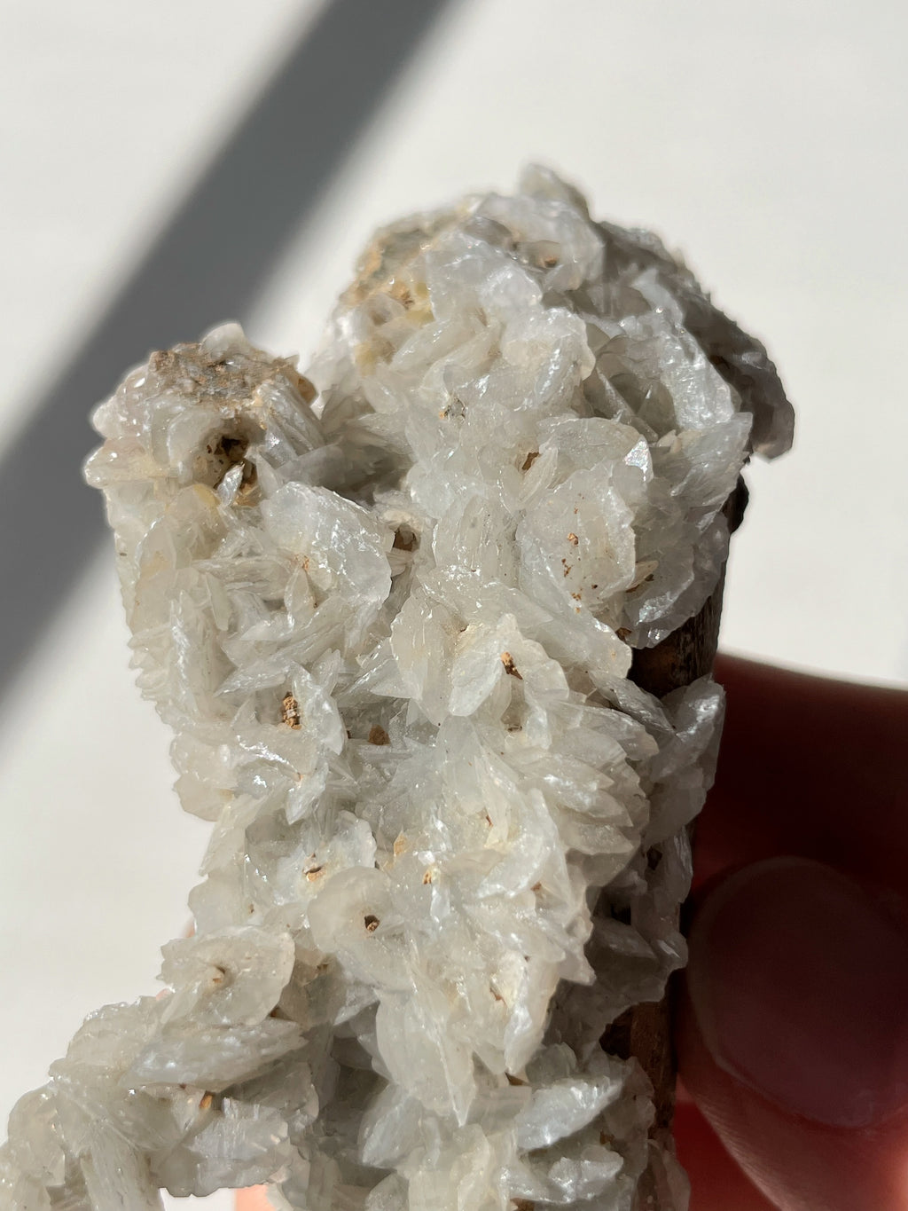 Beautiful crystal specimen featuring intricate flower calcite formations on quartz, held in a hand.