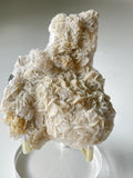 Bladed petal calcite specimen with a textured surface, displayed on a clear stand, showcasing its natural beauty.
