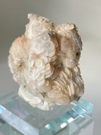 Beautiful bladed petal calcite specimen with delicate layered formations, displayed on a clear pedestal.