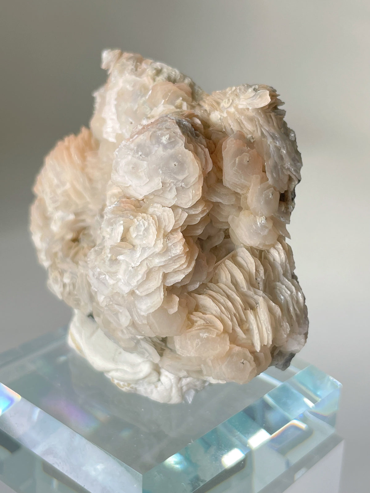 Beautiful bladed petal calcite specimen with delicate layered formations, displayed on a clear pedestal.