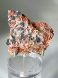 Beautiful pink barite and cerussite crystals on galena, displayed on a clear stand, showcasing intricate textures.
