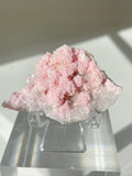 Beautiful rhodochrosite cluster with delicate pink hues, displayed on a clear stand, showcasing its natural crystal