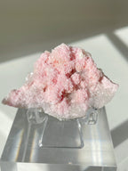 Beautiful rhodochrosite cluster with delicate pink hues, displayed on a clear stand, showcasing its natural crystal