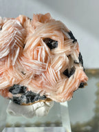 Flower Barite on Cerussite and Galena - Morocco