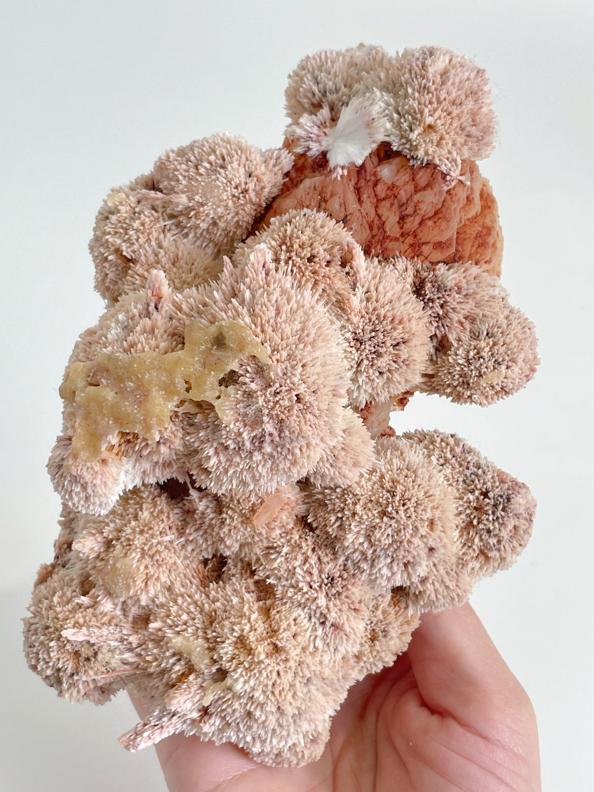 Pink Mordenite Specimen 3 - Maharashtra, India