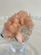 Apophyllite & Peach Stilbite Cluster