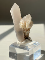 Beautiful flower calcite crystal specimen on a clear base, showcasing delicate formations and soft colors.