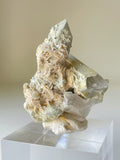 Beautiful specimen of petal calcite on quartz, showcasing delicate textures and soft colors, displayed on a clear base.