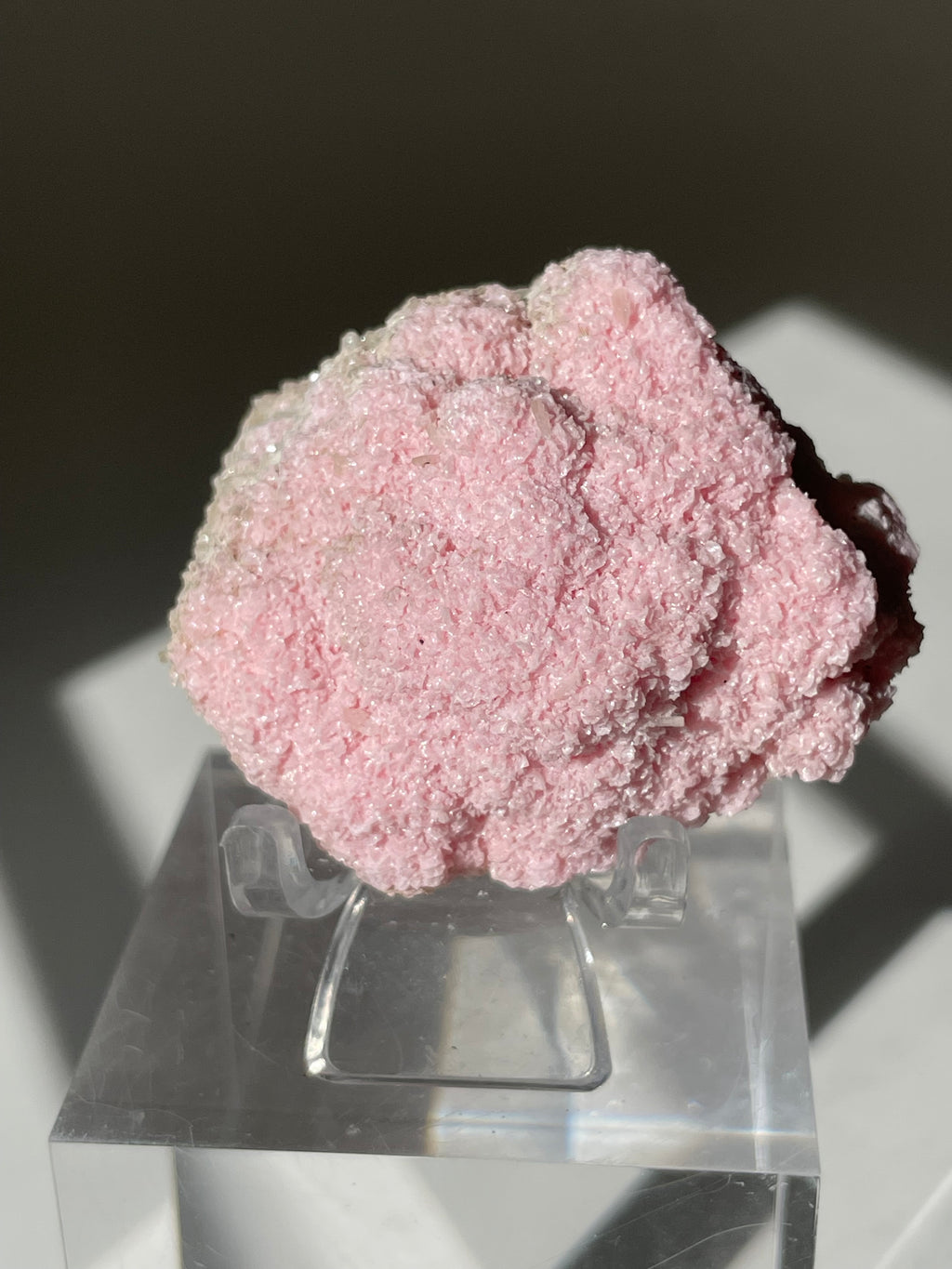 Beautiful pink rhodochrosite cluster displayed on a clear stand, showcasing its sparkling crystal formations.